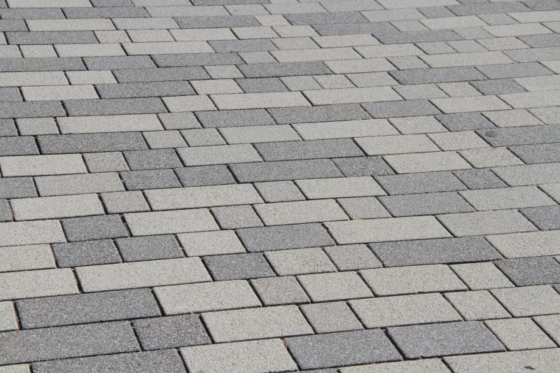 Interlocking Pavers in Modern Designs